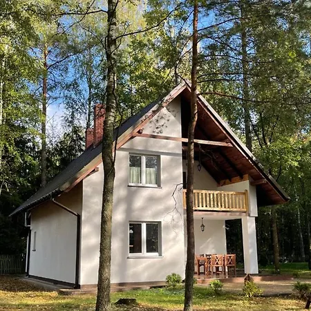 Lesnisko Villa