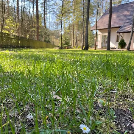 Villa Lesnisko