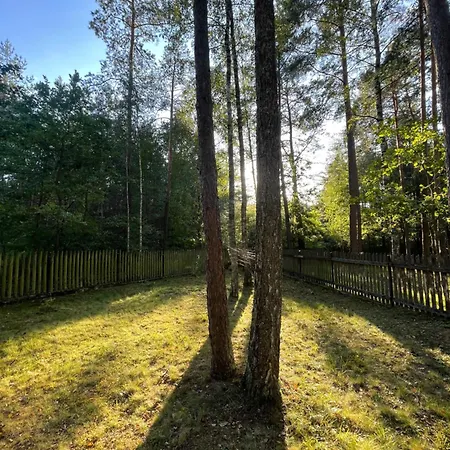 فيلة Lesnisko Jerutki