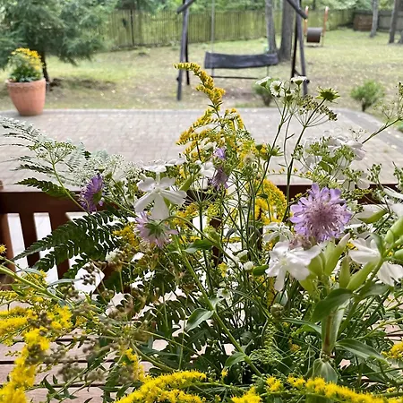 فيلة Lesnisko Jerutki